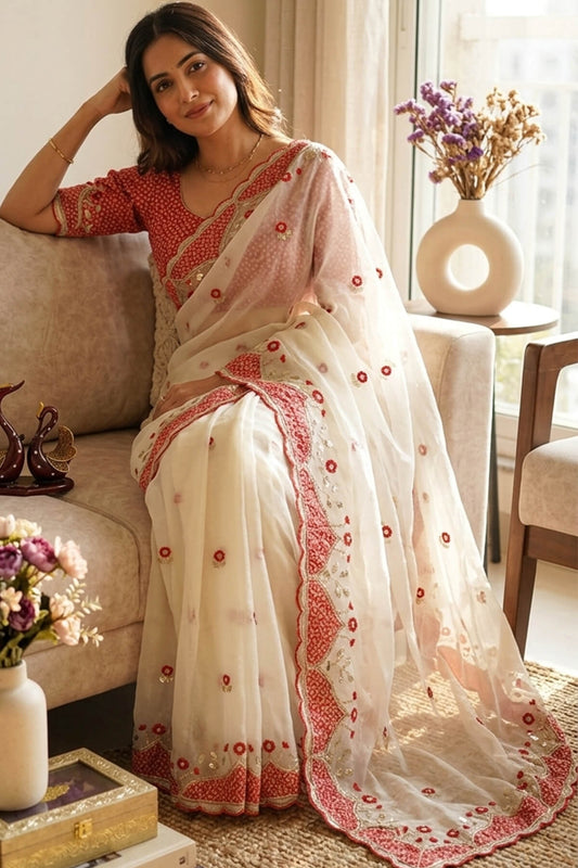 Traditional Off White Chiffon Silk Embroidery Applique Work Saree