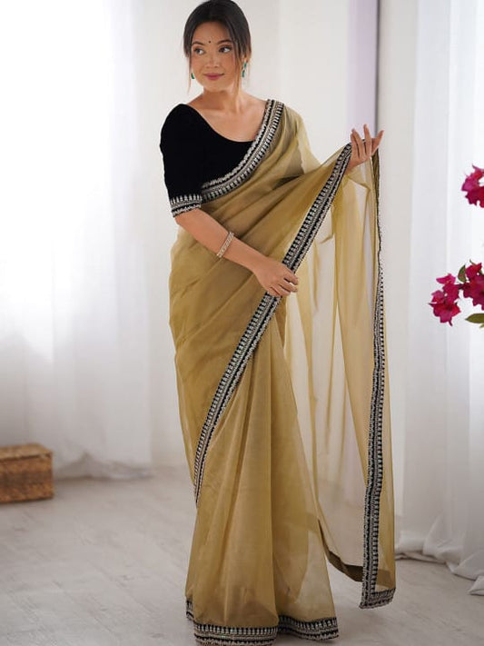 Classy Beige Twill Net Embroidery Work Saree With Velvet Blouse Piece