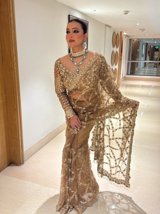 Ineffable Brown Soft Net Sequence Embroidery Work Saree