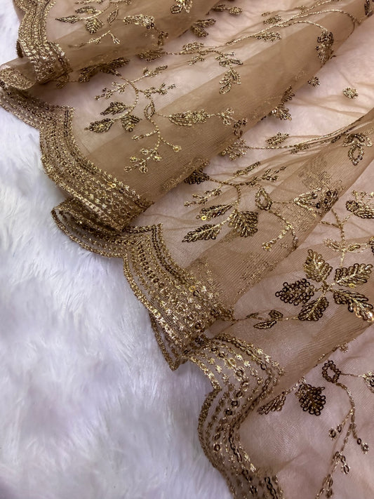 Staggering Brown Twill Net Sequence Embroidery Work Saree