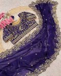 Panache Royal Blue Embroidery Work Fancy Silk Saree With Captivating Full Stitched Blouse