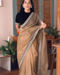 Wonderful Brown Twill Net Embroidery Work Saree With Velvet Blouse Piece